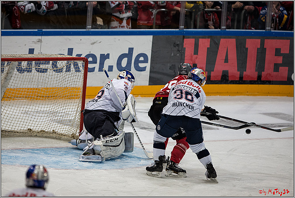 DEL, Koelner Haie - Red Bull Muenchen, 03.01.2017